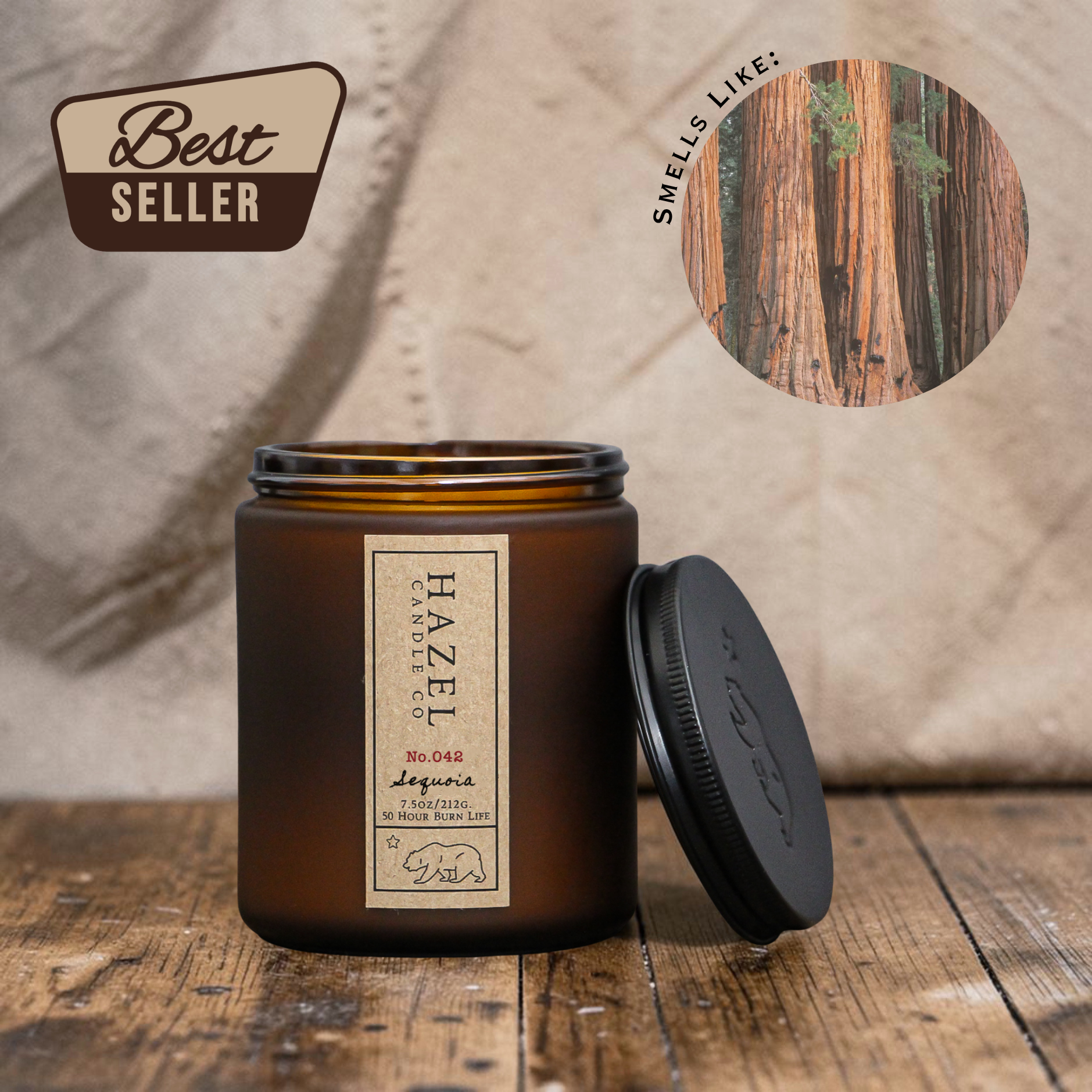SEQUOIA Candle [redwood & moss] – Hazel Candle Co.