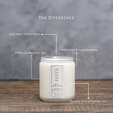 White Birch Candle [balsam + eucalyptus]